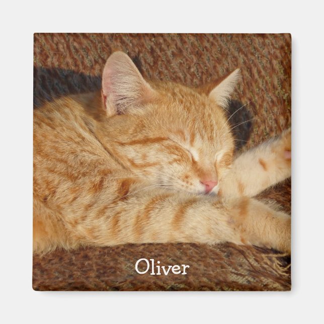 Foto på personlig pet magnet (Framsidan)