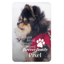 Foto på Pet Loss Memorial Sympathy Photo