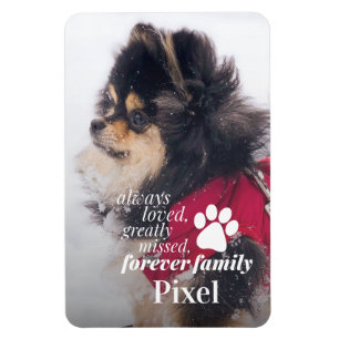 Foto på Pet Loss Memorial Sympathy Photo Magnet