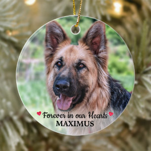 Foto på Pet Memorial Pet Loss Personlig Hund Photo Julgransprydnad Keramik