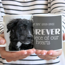 Foto på Pet Memorial Sympathy Photo