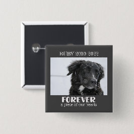 Foto på Pet Memorial Sympathy Photo Knapp