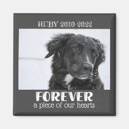 Foto på Pet Memorial Sympathy Photo Magnet