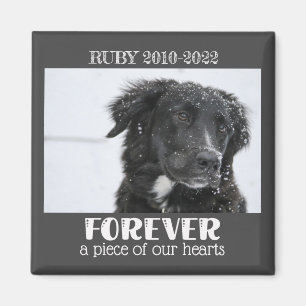 Foto på Pet Memorial Sympathy Photo Magnet