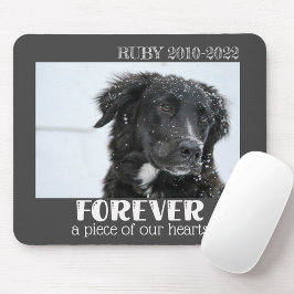 Foto på Pet Memorial Sympathy Photo Musmatta