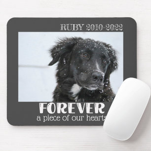 Foto på Pet Memorial Sympathy Photo Musmatta
