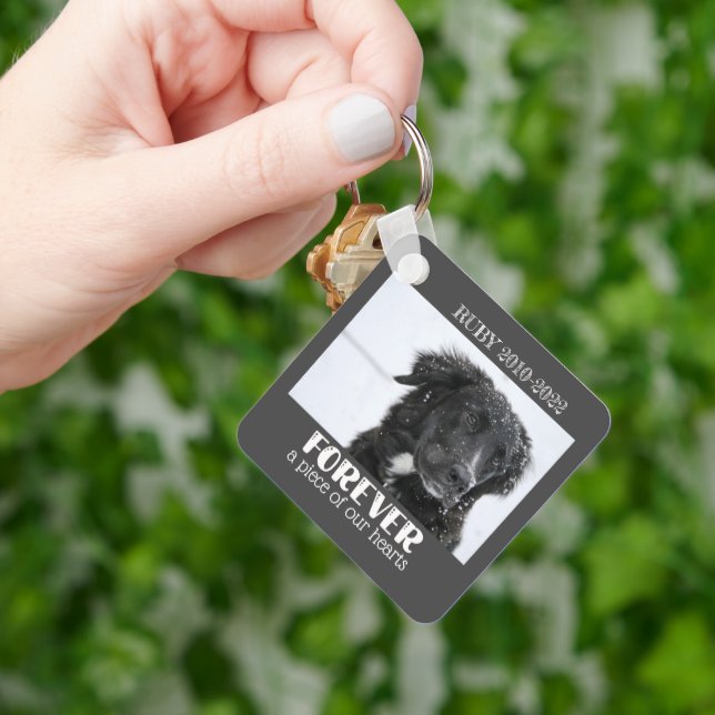 Foto på Pet Memorial Sympathy Photo Nyckelring (Hand)