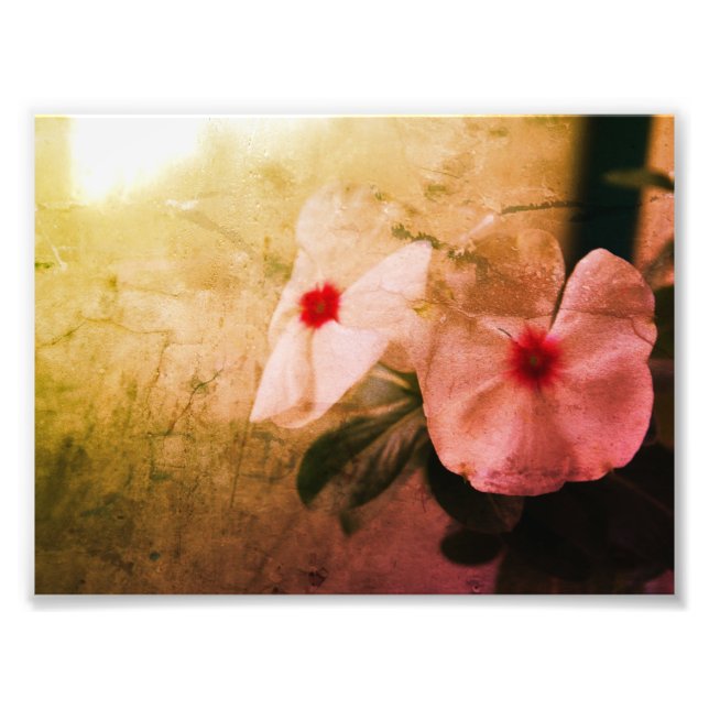Foto på Professionellen blommigt Retro Image Kodak (Framsidan)