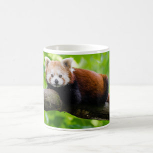 Foto på Red Panda Bear Kaffemugg