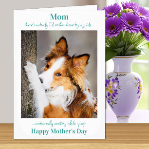 Foto på rolig hund Mamma Mors dag Cute Hund Kort