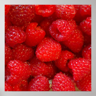 Foto på rosa av hallon av mjuk, söt mörk poster