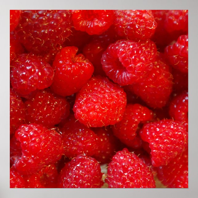 Foto på rosa av hallon av mjuk, söt mörk poster (Framsidan)