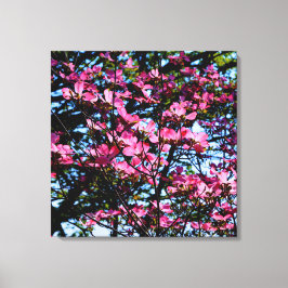 Foto på rosa blommar dogwood träd canvastryck