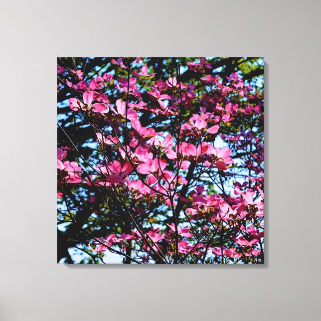 Foto på rosa blommar dogwood träd canvastryck (Framsida)