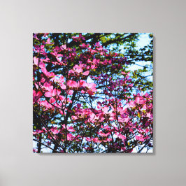Foto på rosa blommar dogwood träd canvastryck