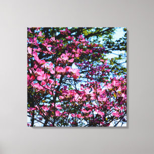 Foto på rosa blommar dogwood träd canvastryck