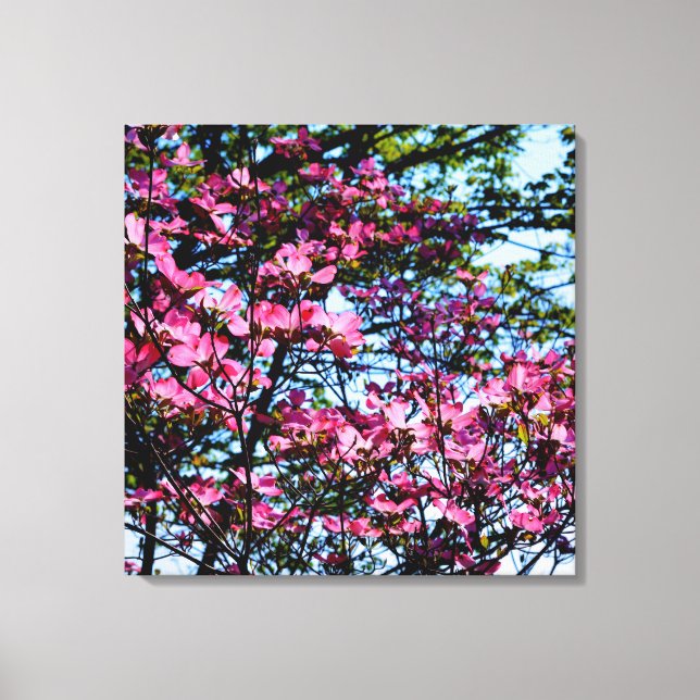 Foto på rosa blommar dogwood träd canvastryck (Framsida)