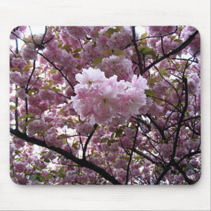 Foto på rosa körsbärsblomstrande träd musmatta