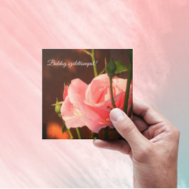 Foto på rosa ros - ungersk födelsedag