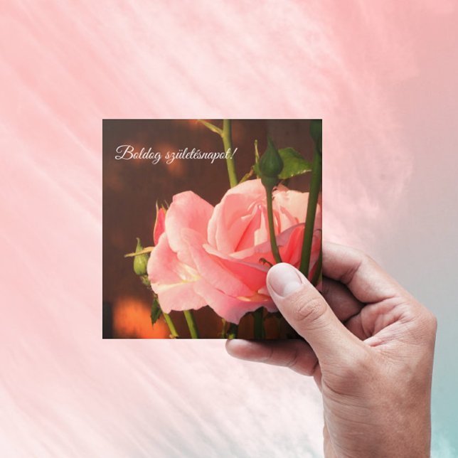 Foto på rosa ros - ungersk födelsedag (Skapare uppladdad)