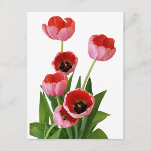 Foto på rosa vår tulpanbukett vykort