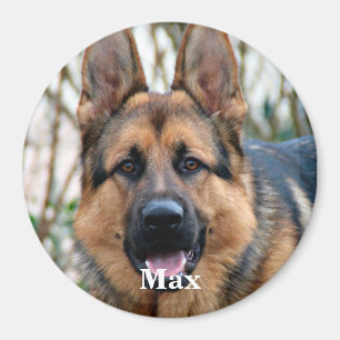 Foto på sällskapsdjur - Hund - Katt - Pet Memorial Magnet