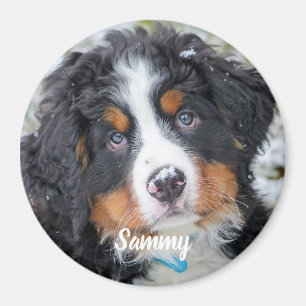 Foto på sällskapsdjur - Hund - Katt - Pet Memorial Magnet