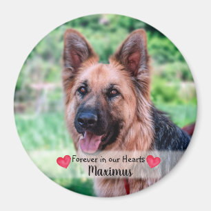 Foto på sällskapsdjur - Hund - Katt - Pet Memorial Magnet