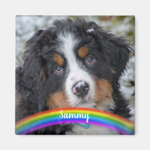Foto på sällskapsdjur - Hund - Katt - Pet Memorial Magnet