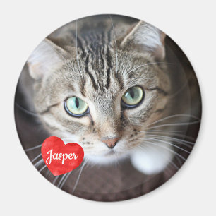 Foto på sällskapsdjur - Hund - Katt - Pet Memorial Magnet