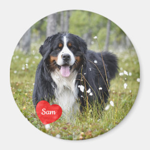 Foto på sällskapsdjur - Hund - Katt - Pet Memorial Magnet
