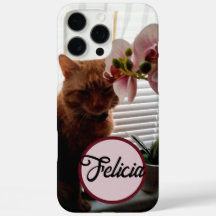 Foto på sällskapsdjur och anpassat namn