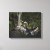 Foto på skarvnaturen