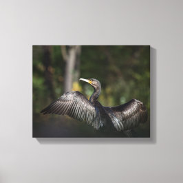 Foto på skarvnaturen canvastryck