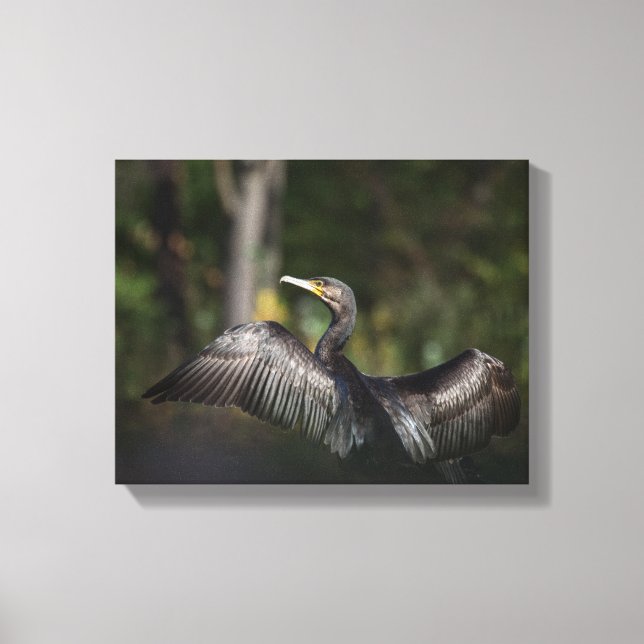 Foto på skarvnaturen canvastryck (Framsida)