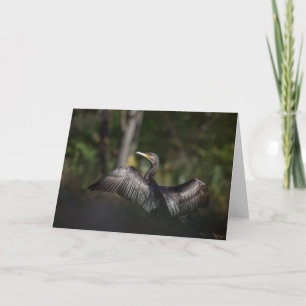 Foto på skarvnaturen kort