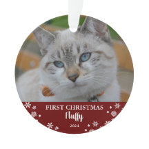 Foto på snöflingor Ornament på katt 1 jul