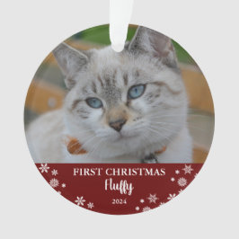 Foto på snöflingor Ornament på katt 1 jul