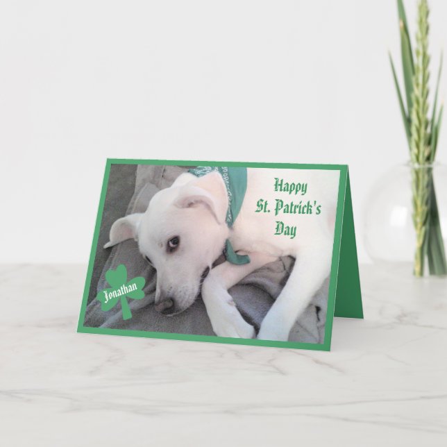 Foto på söt lat hund rolig St. Patricks dag Kort (Framsida)