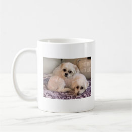 Foto på söta hundar, Maltese och Shih Tzu Kaffemugg