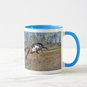 Foto på Spirated Pinto Stallion Equine Action Phot Mugg