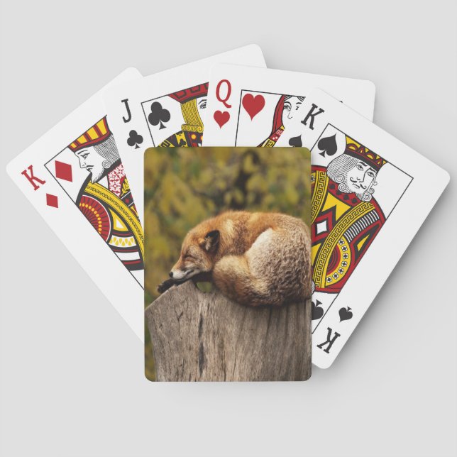 Foto på svängfolie casinokort (Baksidan)