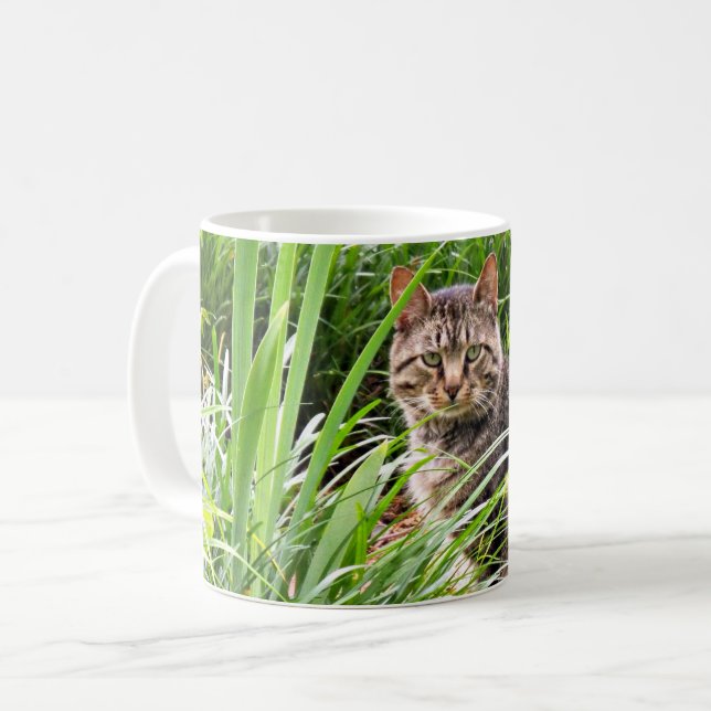 Foto på tabbykatt som sitter i gräset  kaffemugg (Framsida vänster)