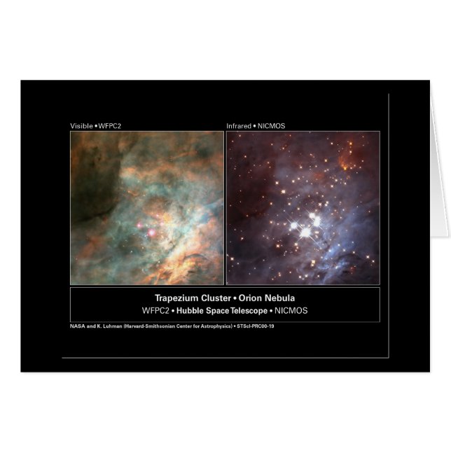 Foto på Trapezium Cluster Hubble Telescope Hälsningskort (Framsidan Horizontal)