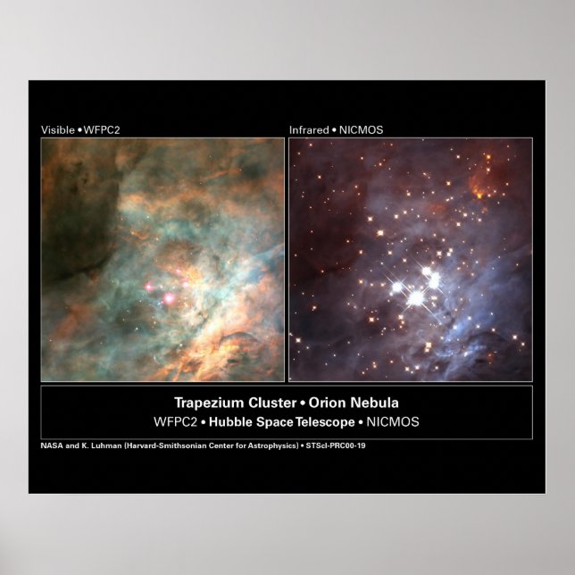 Foto på Trapezium Cluster Hubble Telescope Poster (Framsidan)