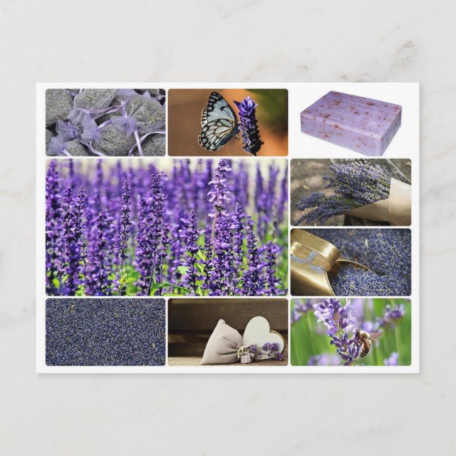 Foto på Tropical lavender collage Vykort (Framsida)
