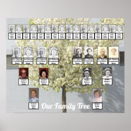 Foto på två Träd-Blommar i familjen | NAMN POSTER
