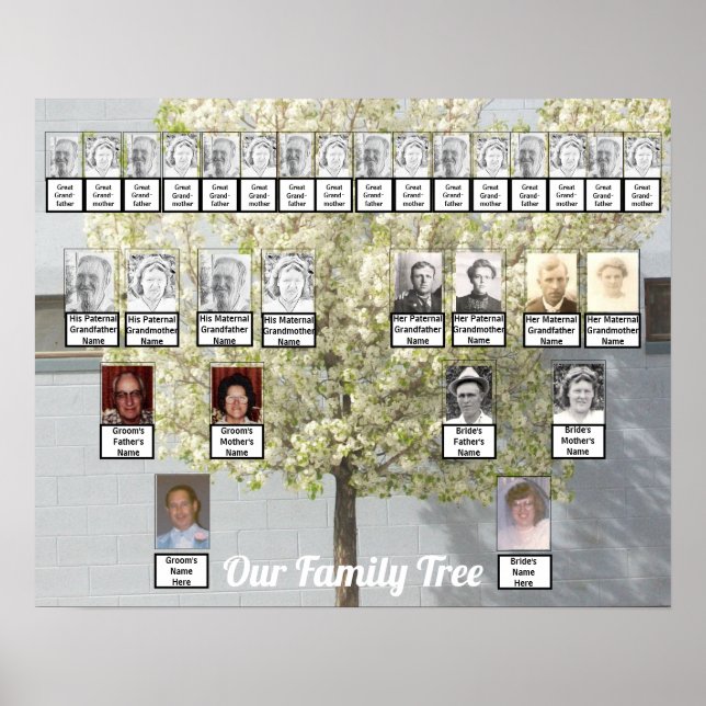 Foto på två Träd-Blommar i familjen | NAMN POSTER (Framsidan)