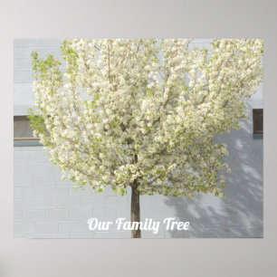 Foto på två Träd-Blommar i familjen NAMN POSTER