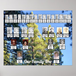Foto på två Träd-familjers Gräs Träd | NAMN POSTER